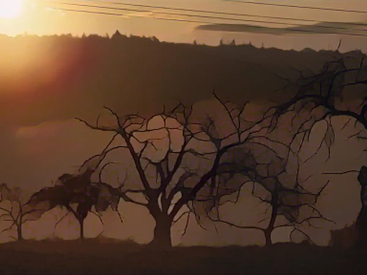 Cheerful start to the week in Rhineland-Palatinate and Saarland