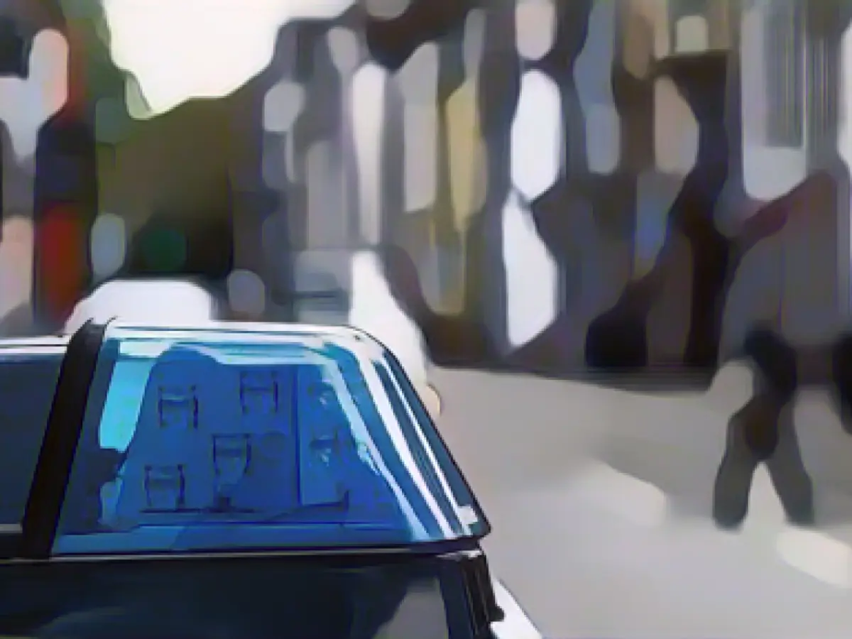 Four boys steal more than 24 license plates in Rotenburg