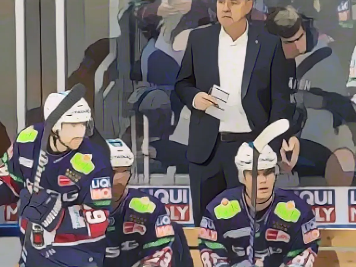 1:3 against Mannheim: Eisbären Berlin give up lead in the table