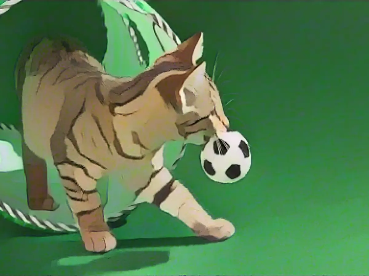 Dog owners need to be strong now - cats can fetch too