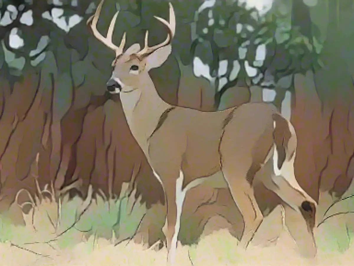 Study shows Covid-19 spreads repeatedly between humans and deer, raising concerns about animal reservoir