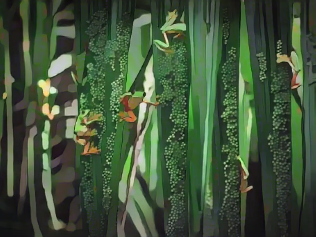 Extraordinary photos from the Wildlife Photographer of the Year 2022 competition.