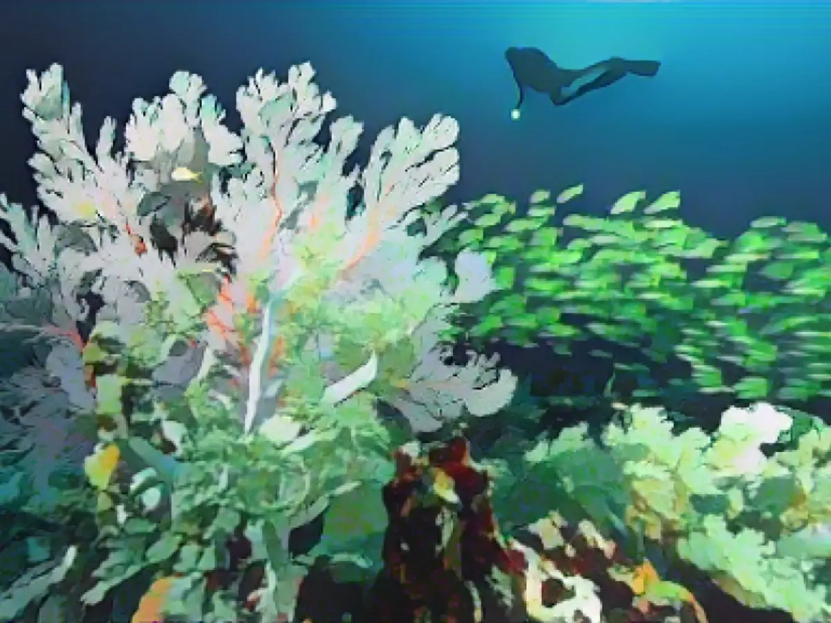 Raja Ampat, Indonesia: “The Last Paradise on Earth”