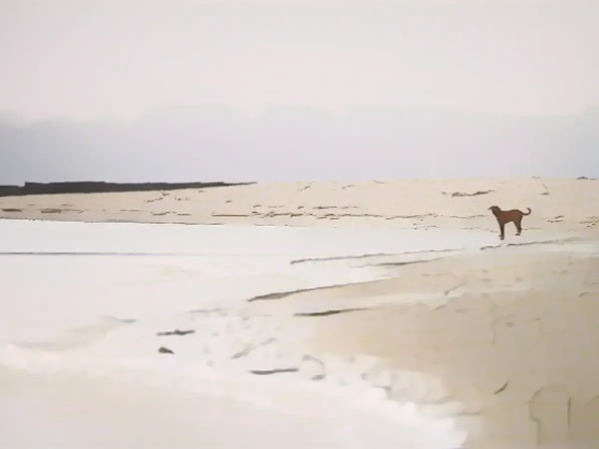 North experiences nastiest pre-Christmas week for a long time