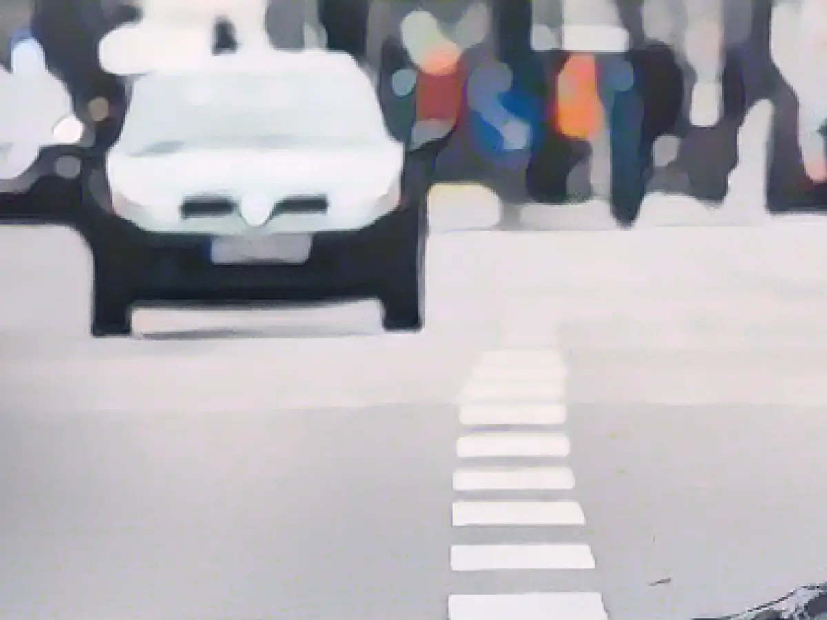 Pigeon conservationists collect signatures for citizens' petition