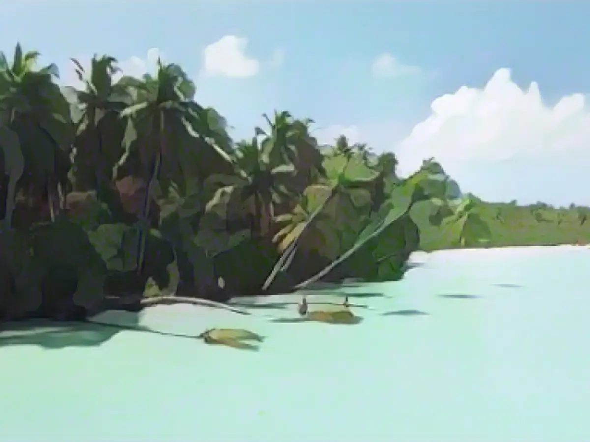 Complaints instead of dream trips: Is the start-up itravel cheating its customers?