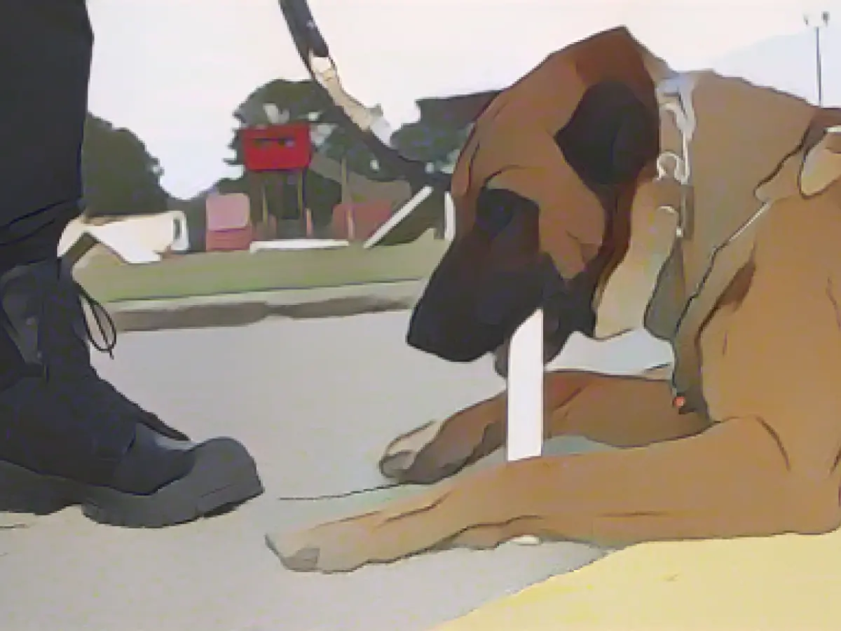 Violent K-9 bite incident another excessive use of force by police