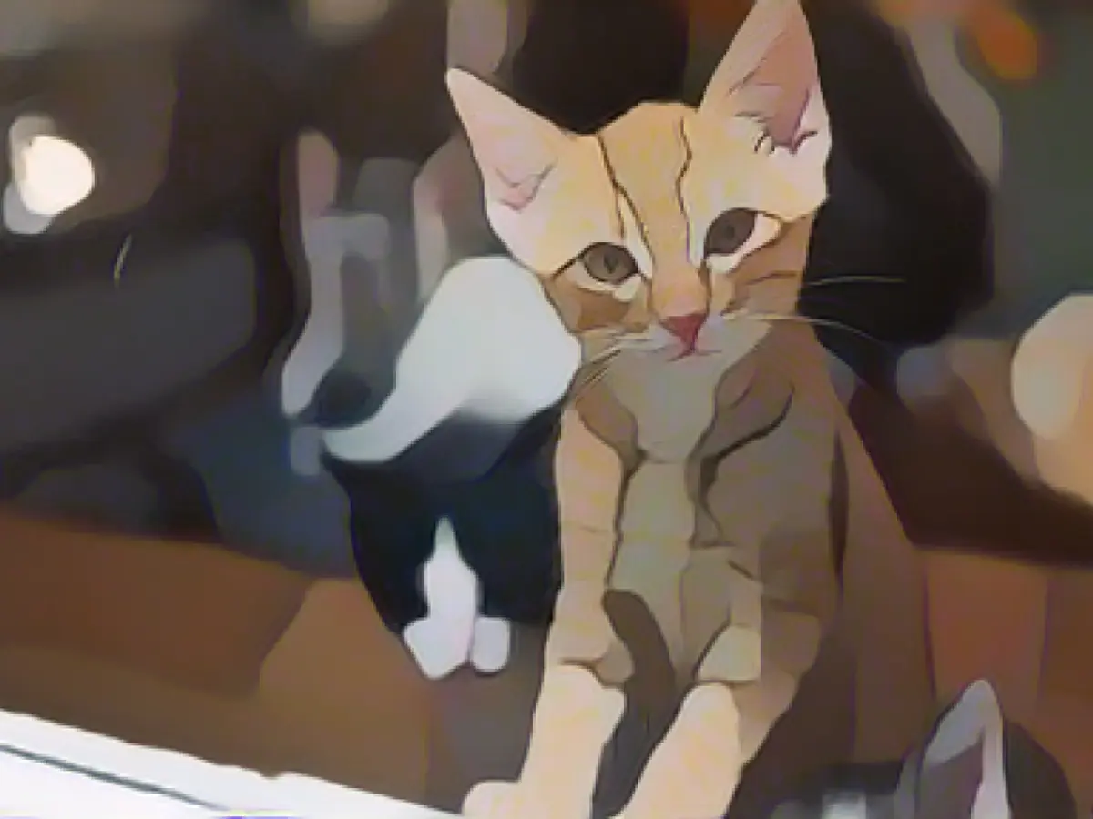 State supports animal shelters with energy costs