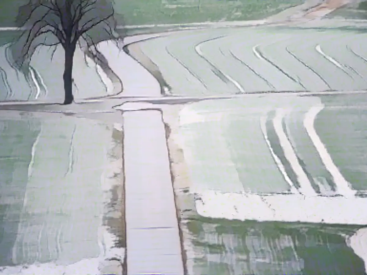 Bad prospects for a white Christmas: mild weather