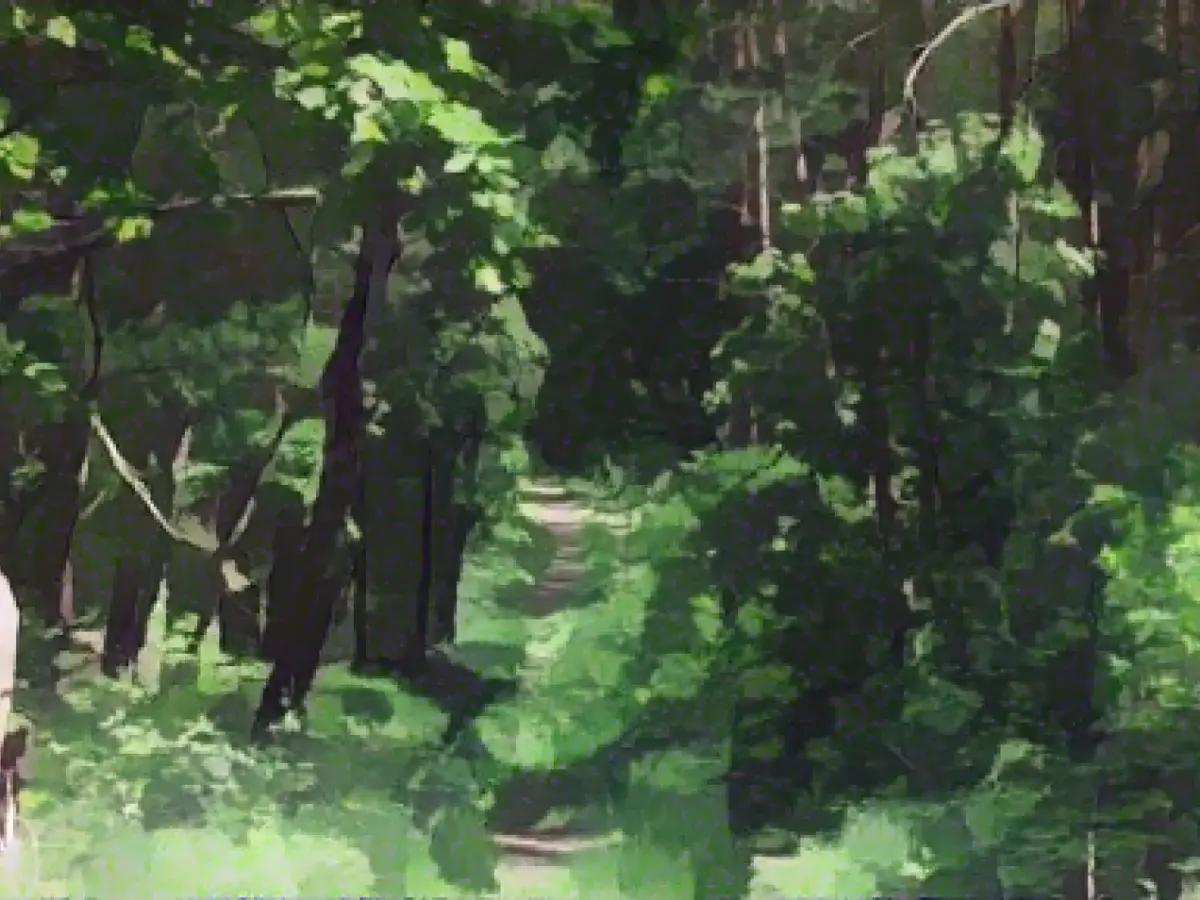 Safety for animals and plants: protected area expanded