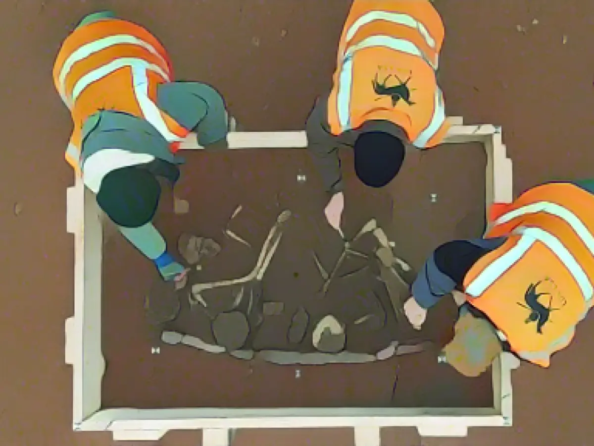 Family grave around 4200 years old discovered near Domnitz