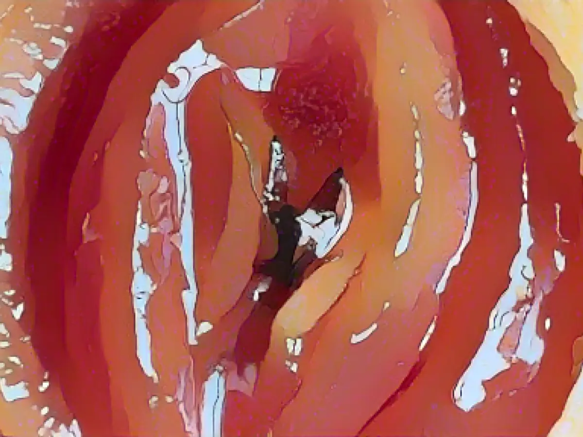 "Shameless clit-bait" - Internet amused by "lewd" recipe post by Nigel Slater