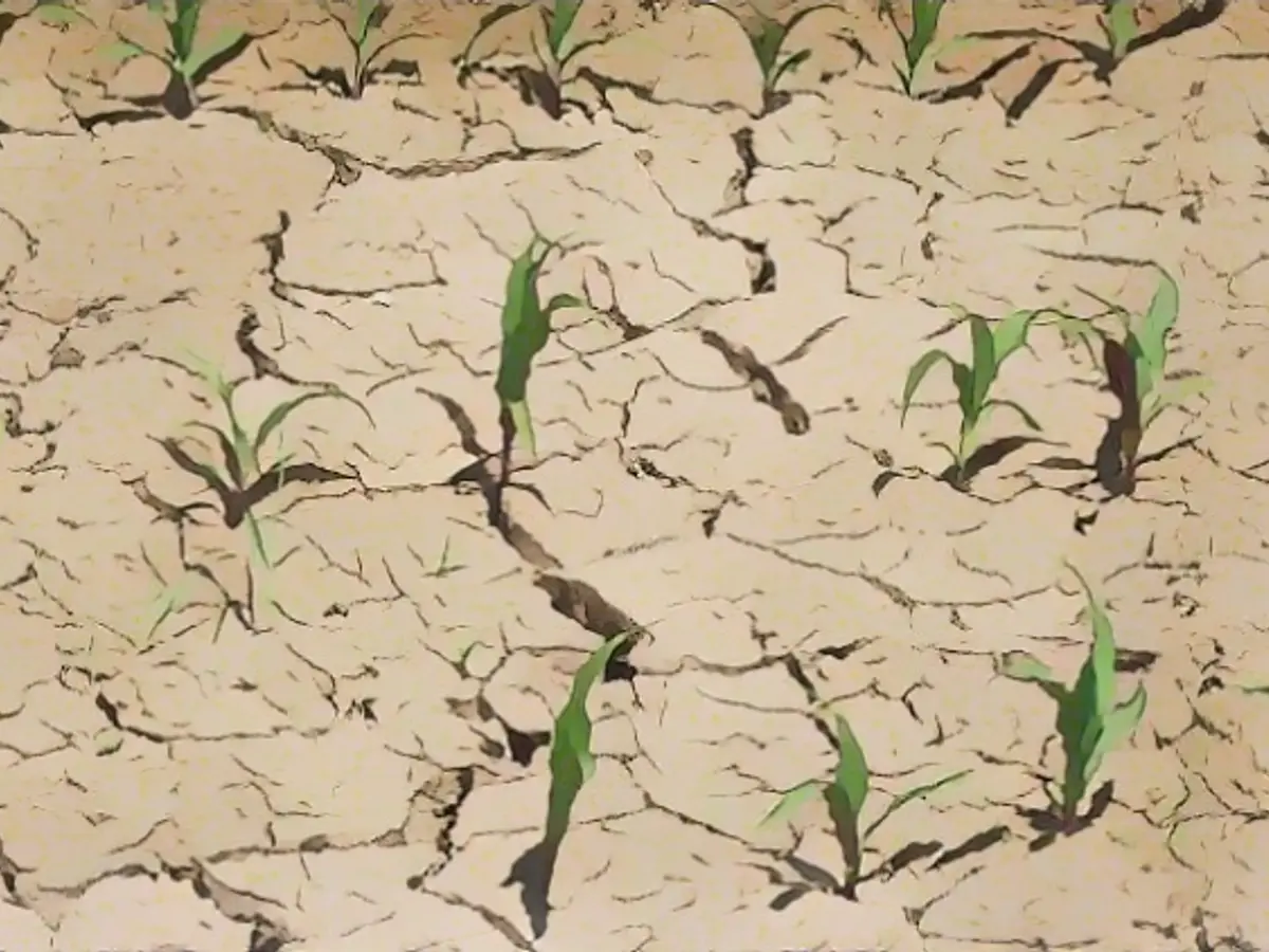 Facts about climate change that everyone should know