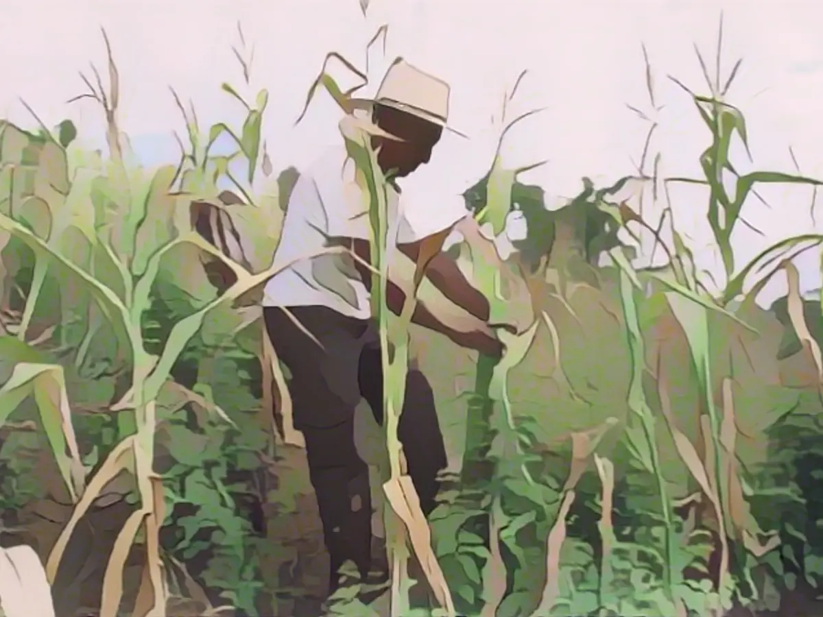 This plant-based diet helps fight diabetes and weight gain, according to one study