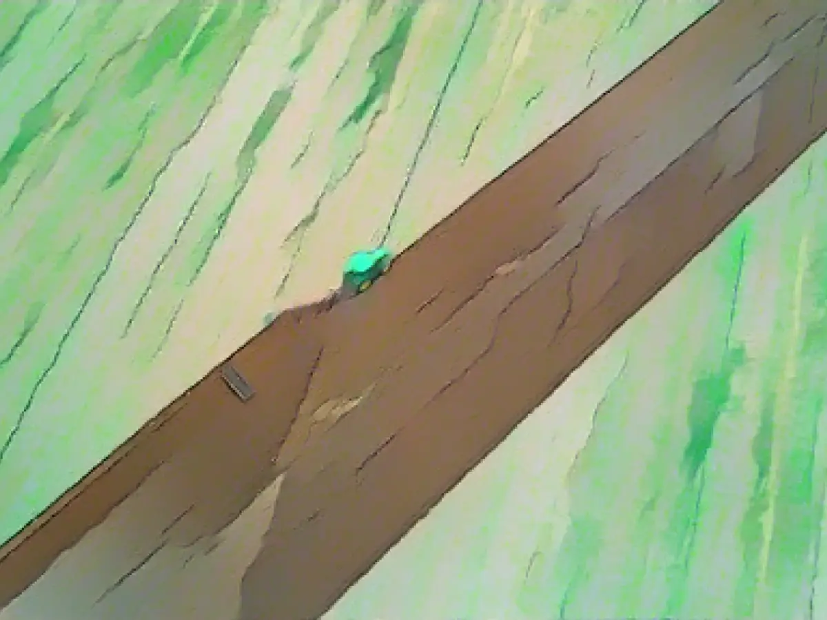 Kretschmann criticizes traffic light savings plans in the agricultural sector