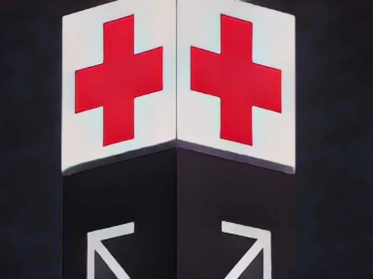 Car crashes into a hedge in Meerane: driver seriously injured