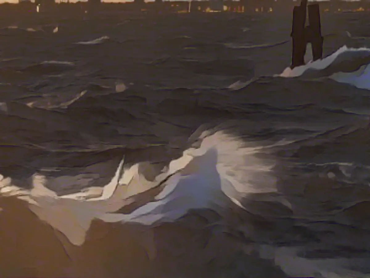 Accidents caused by fallen trees in the northeast of MV