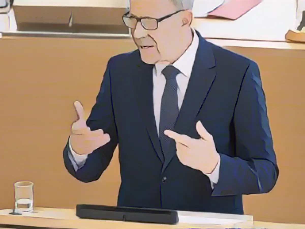 AfD takes legal action against classification