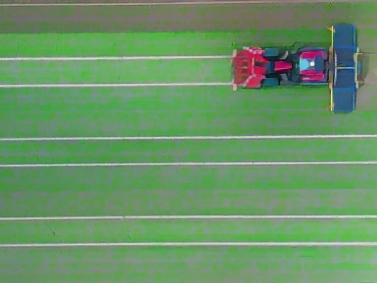 Saxony-Anhalt's farmers will still receive direct payments in 2023