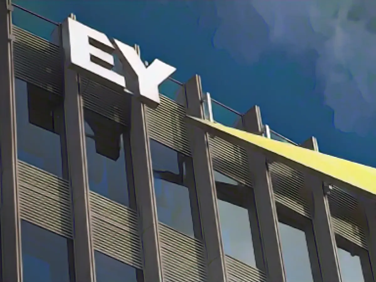 DSW sues Wirecard auditor EY for damages