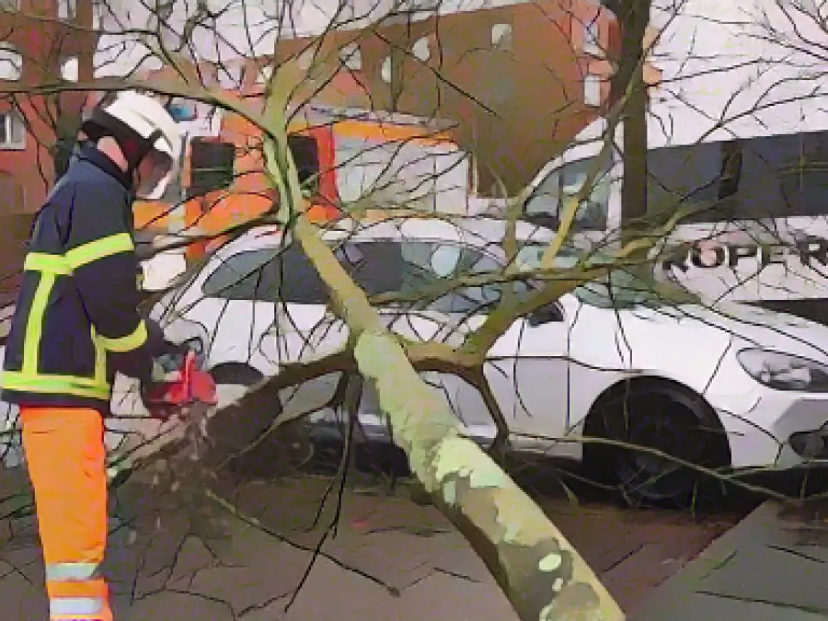 After the storm: environmental authority warns against entering the woods