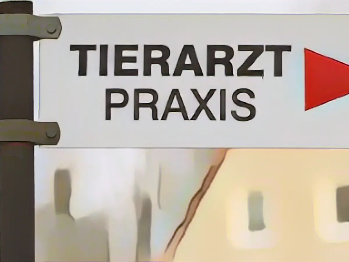 Pets: Rescuers receive thousands of emergency calls