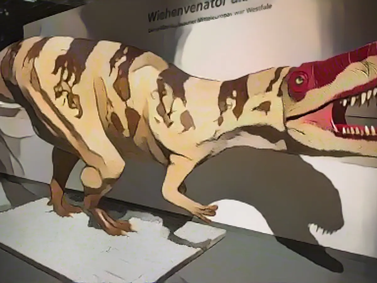 LWL visitor balance 2023: Significant plus for the museums