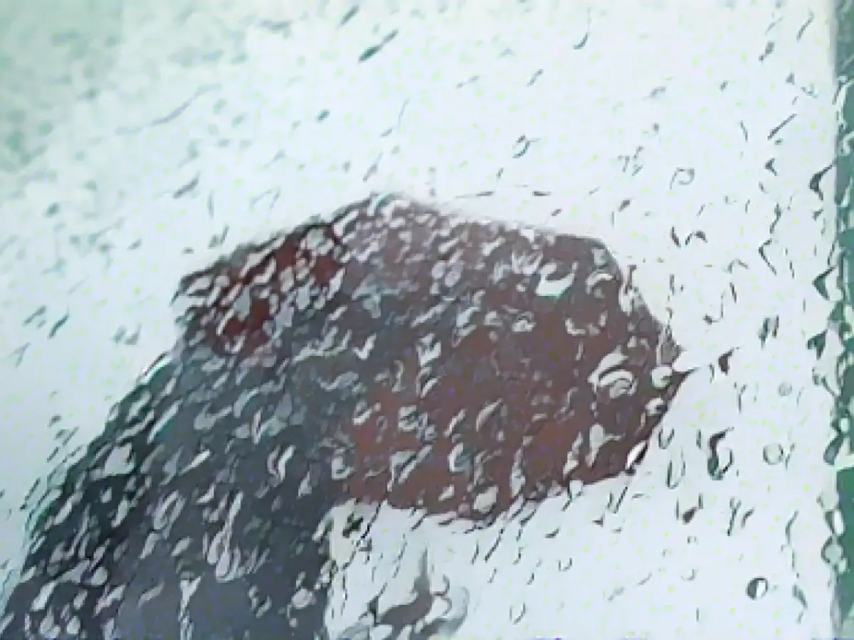 Lots of rain and sometimes stormy at Christmas