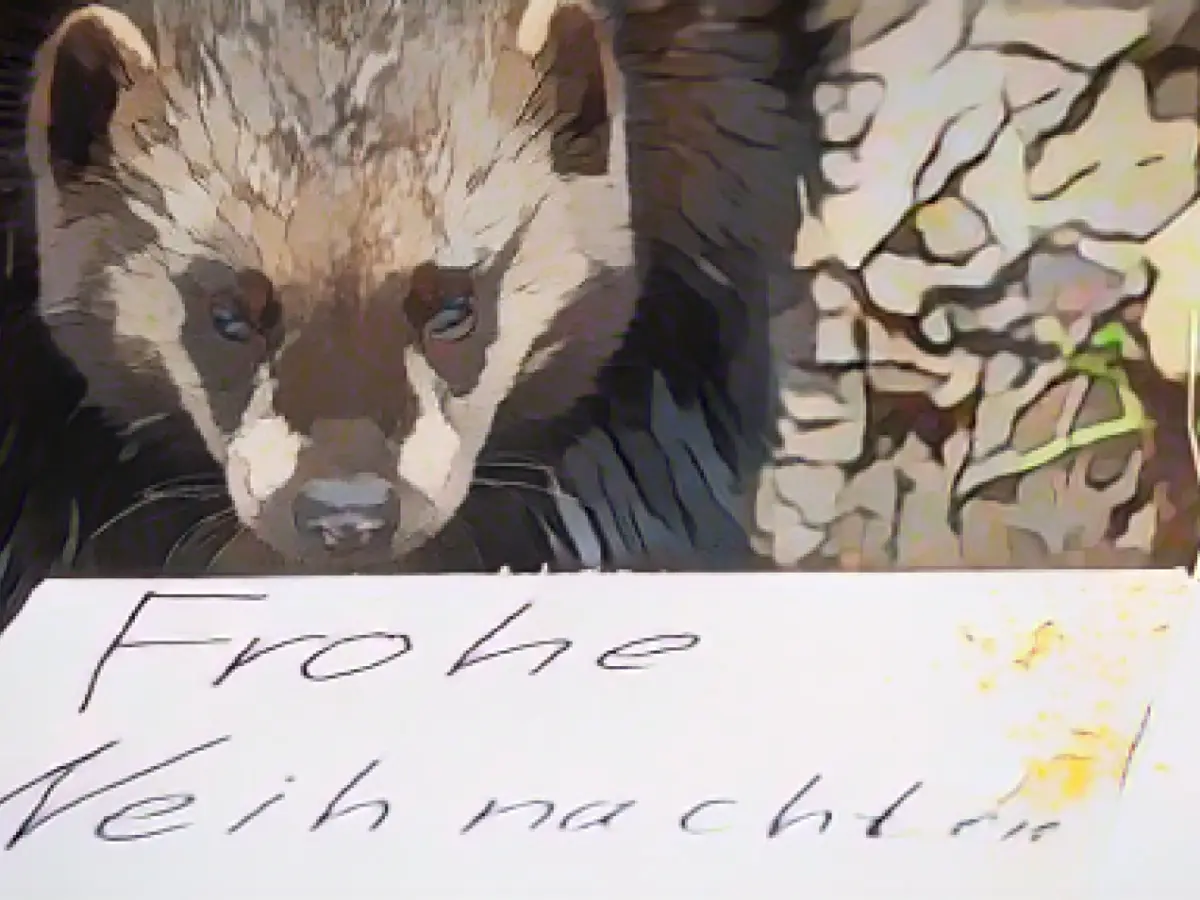 Animal treats at the zoo