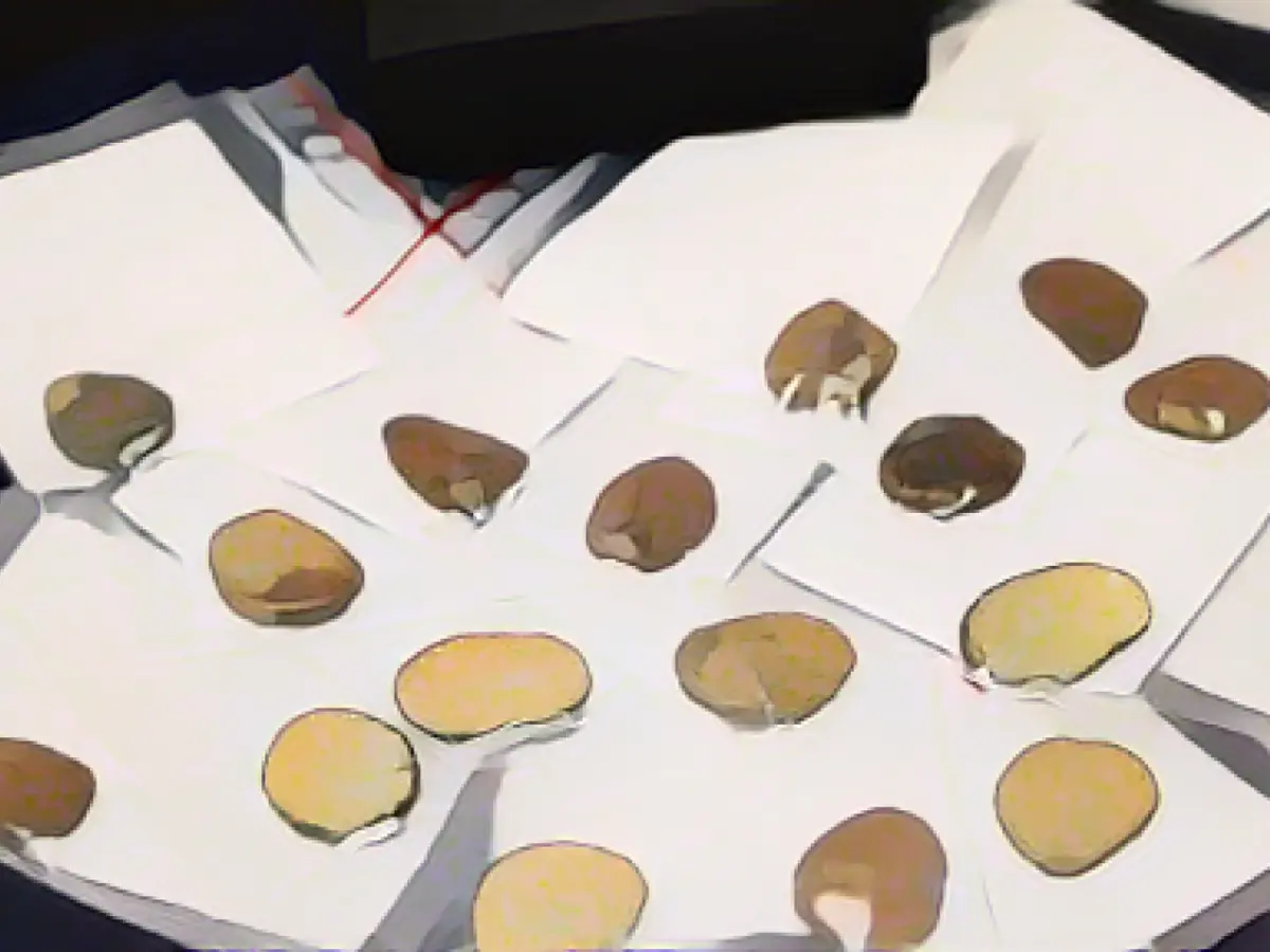 Investigation continues after the theft of Celtic gold treasure