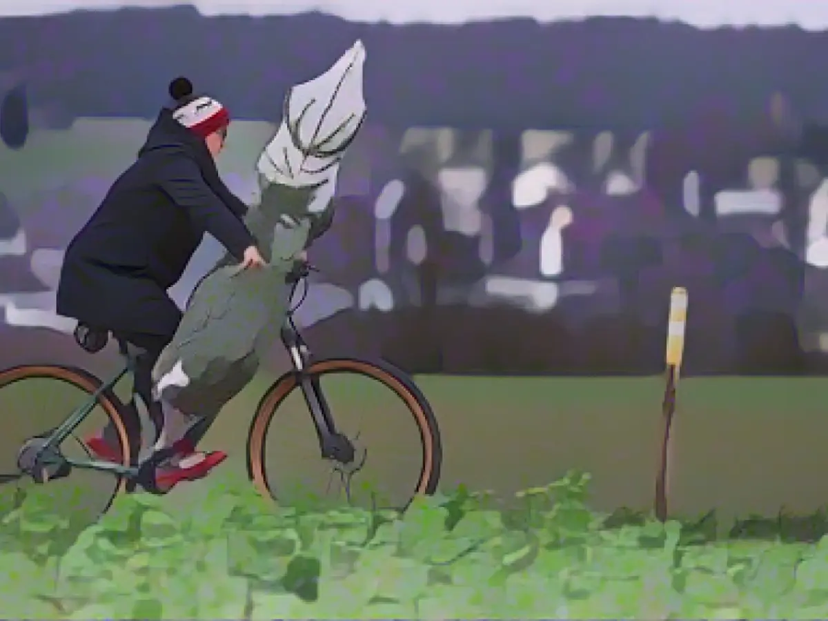 Weather on Christmas holidays remains mild