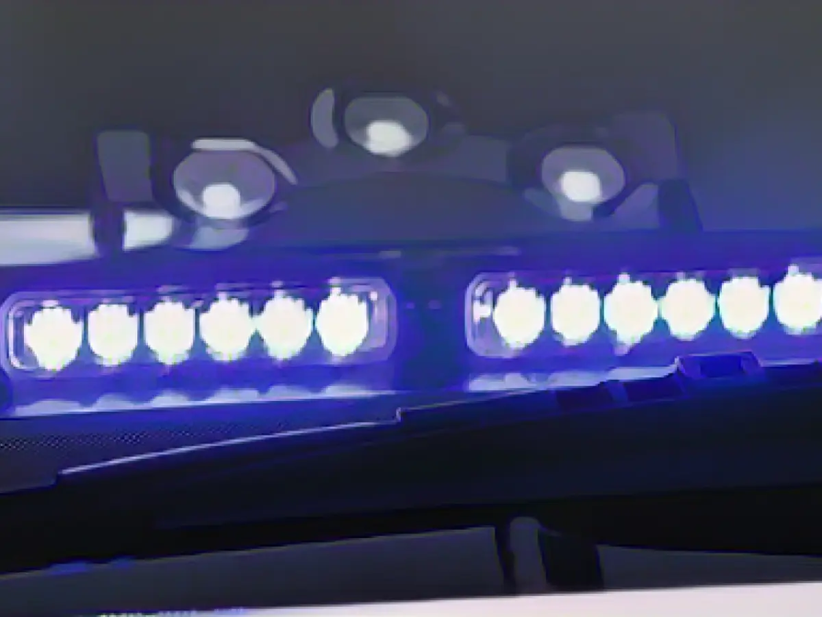 Two trees fall onto the road: escape with a scare