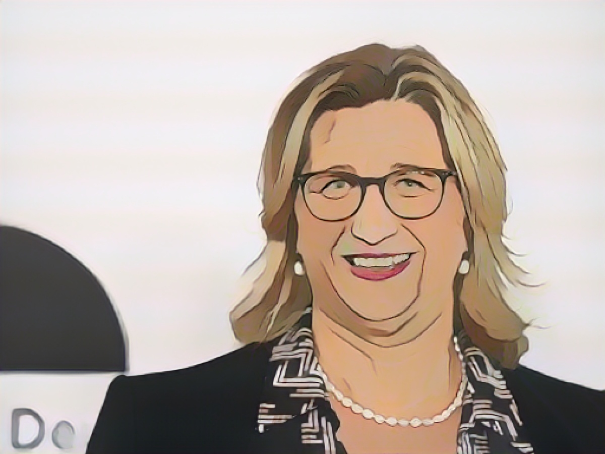 Rehlinger calls for "more clarity and order"