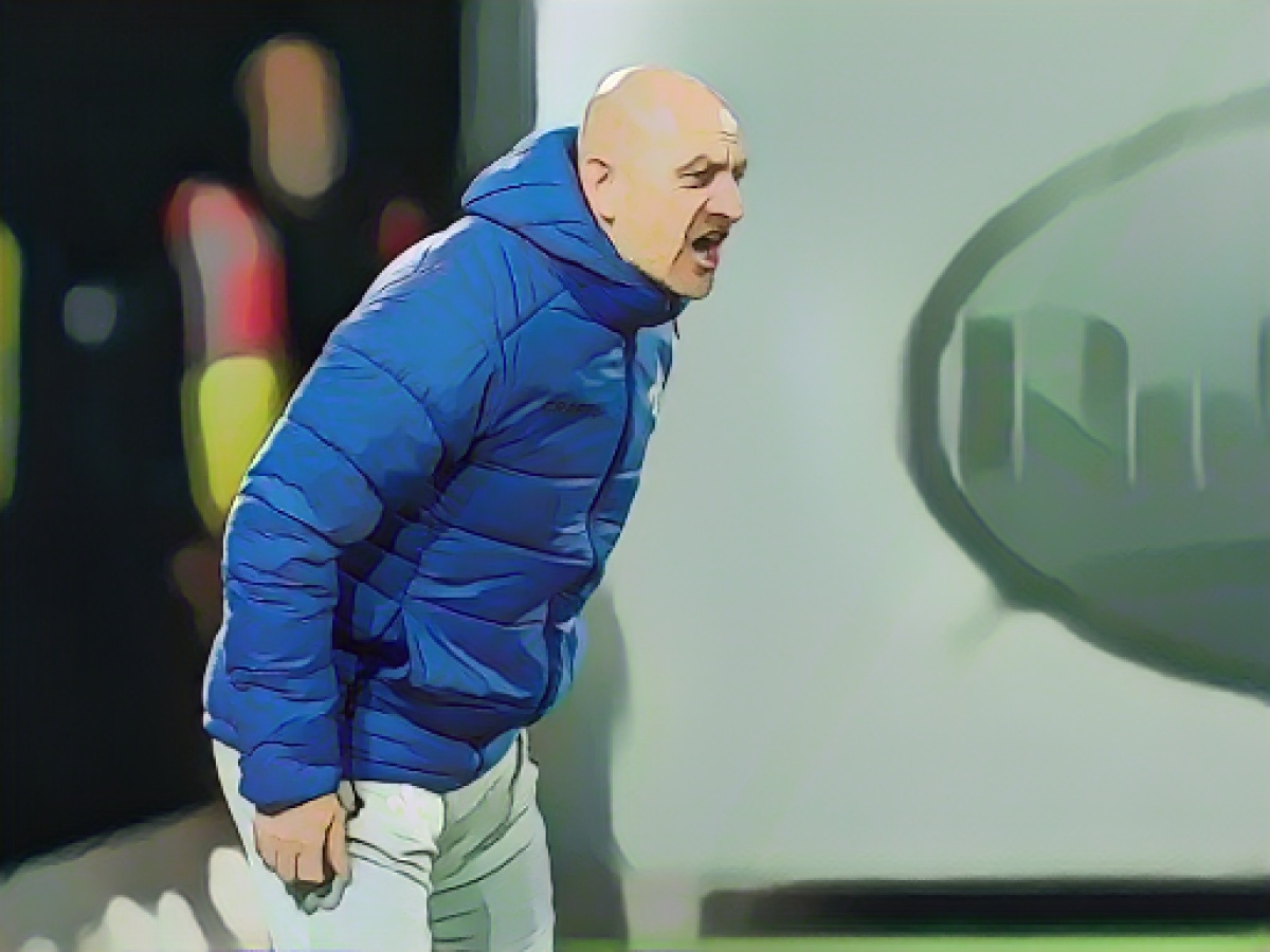 Yellow card for Darmstadt coach: Lieberknecht annoyed