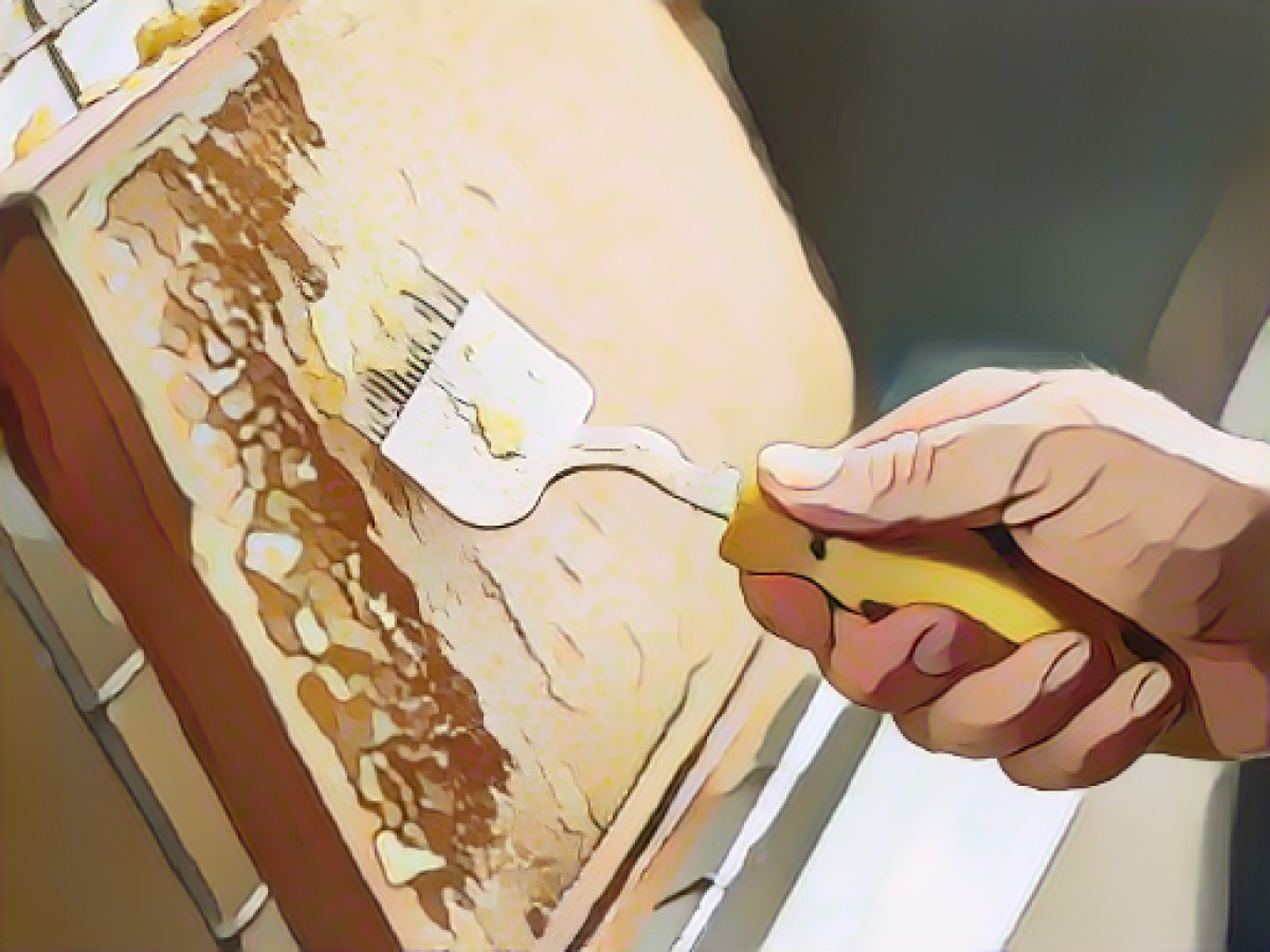 Good honey harvest for beekeepers in Brandenburg