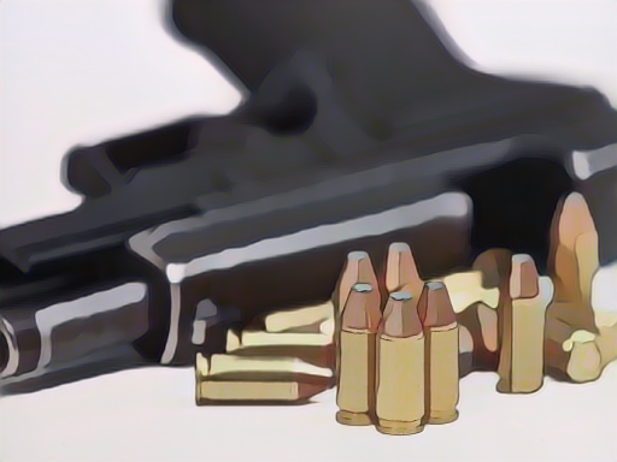 Berlin police miss a number of resources