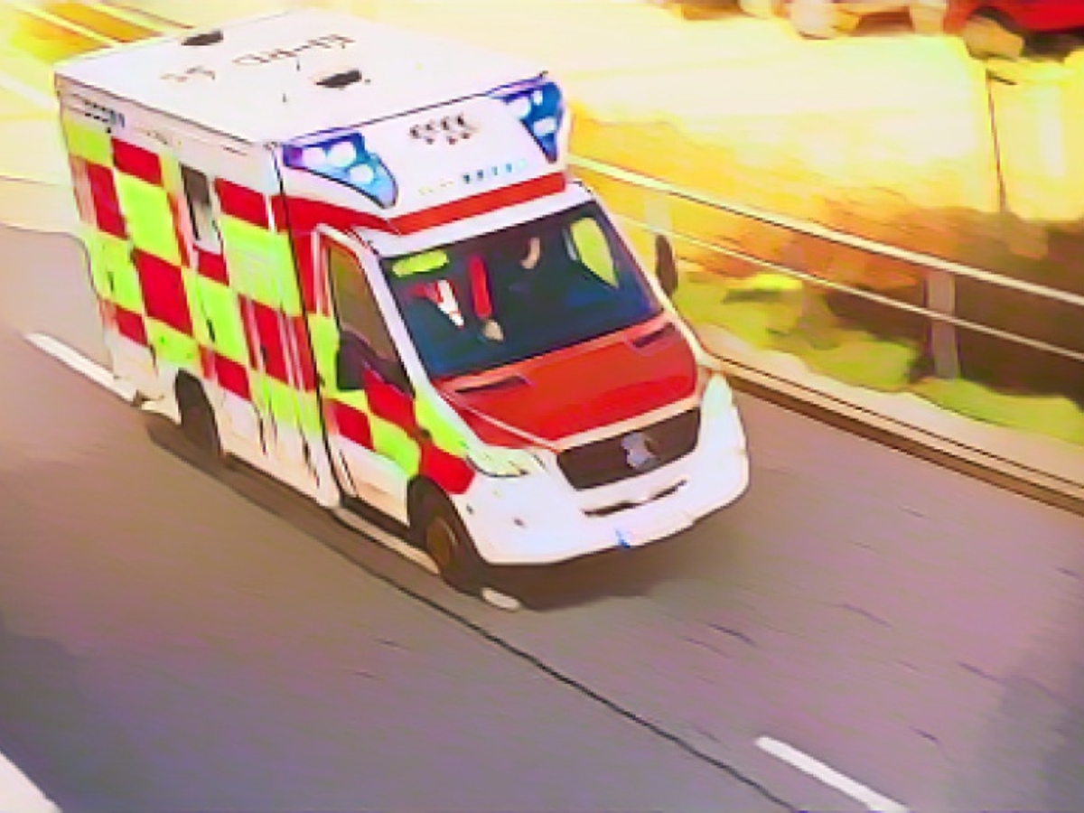 Wood splinter pierces forearm