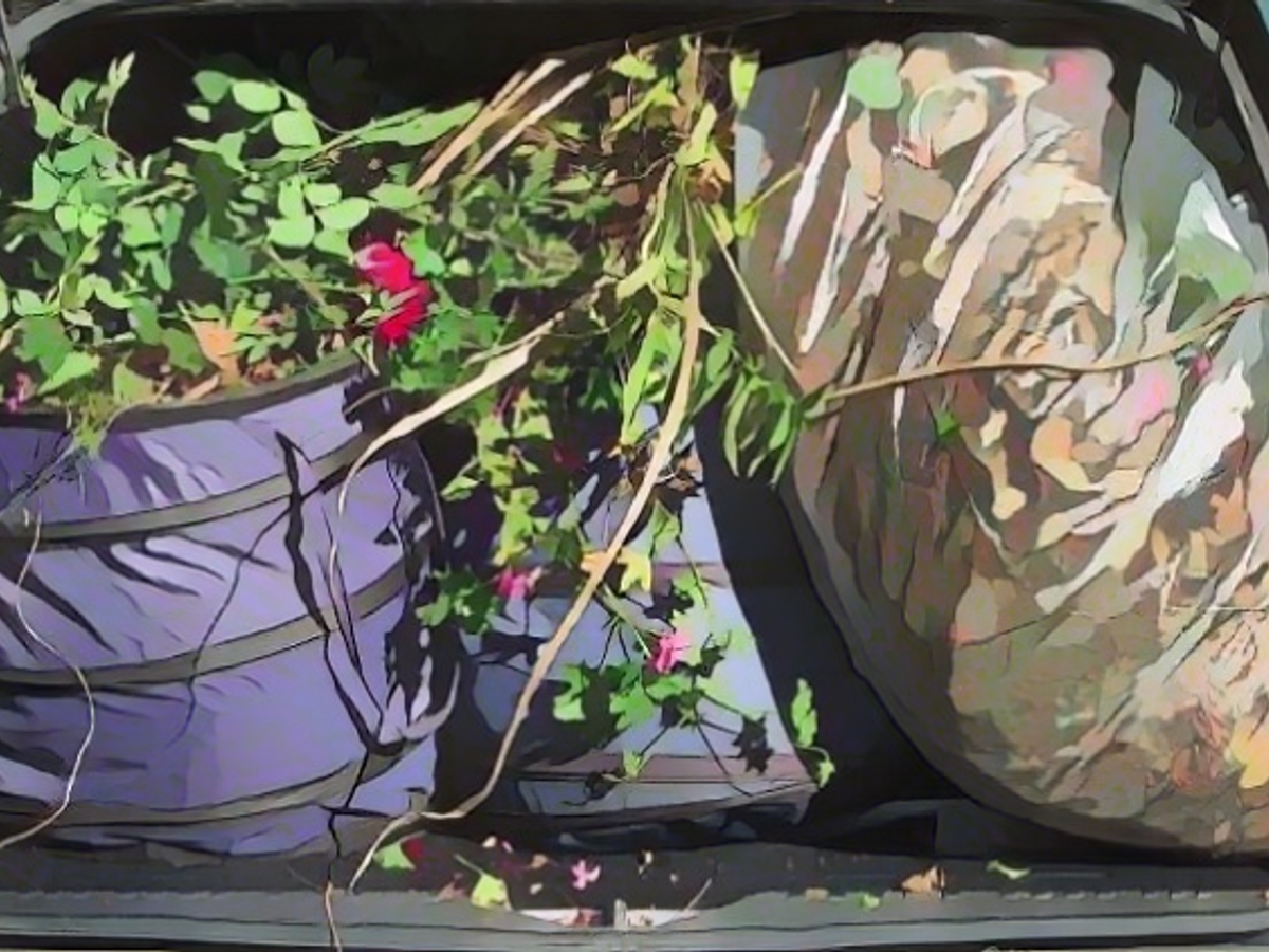 Dispose of leaves, branches and more correctly