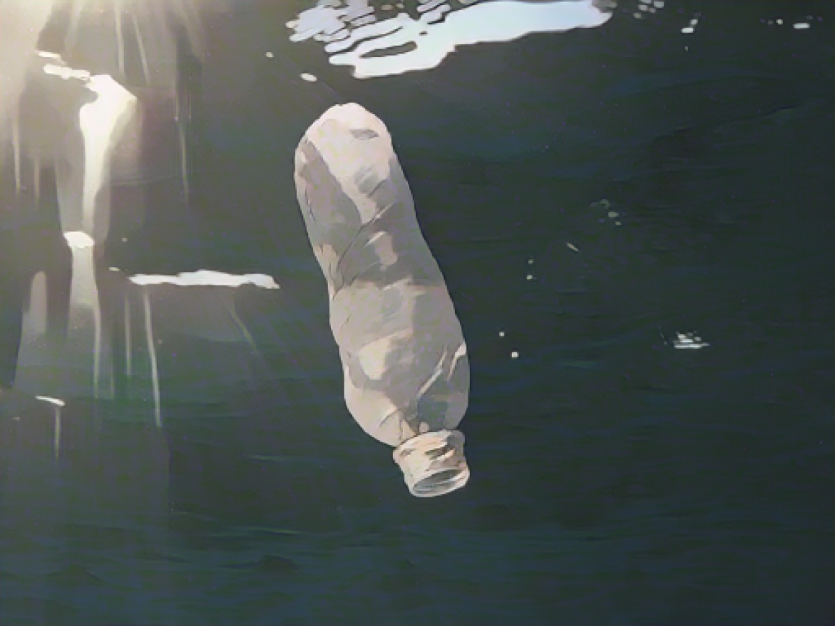 Environmental activists: plastic avoidance instead of clean-up campaigns