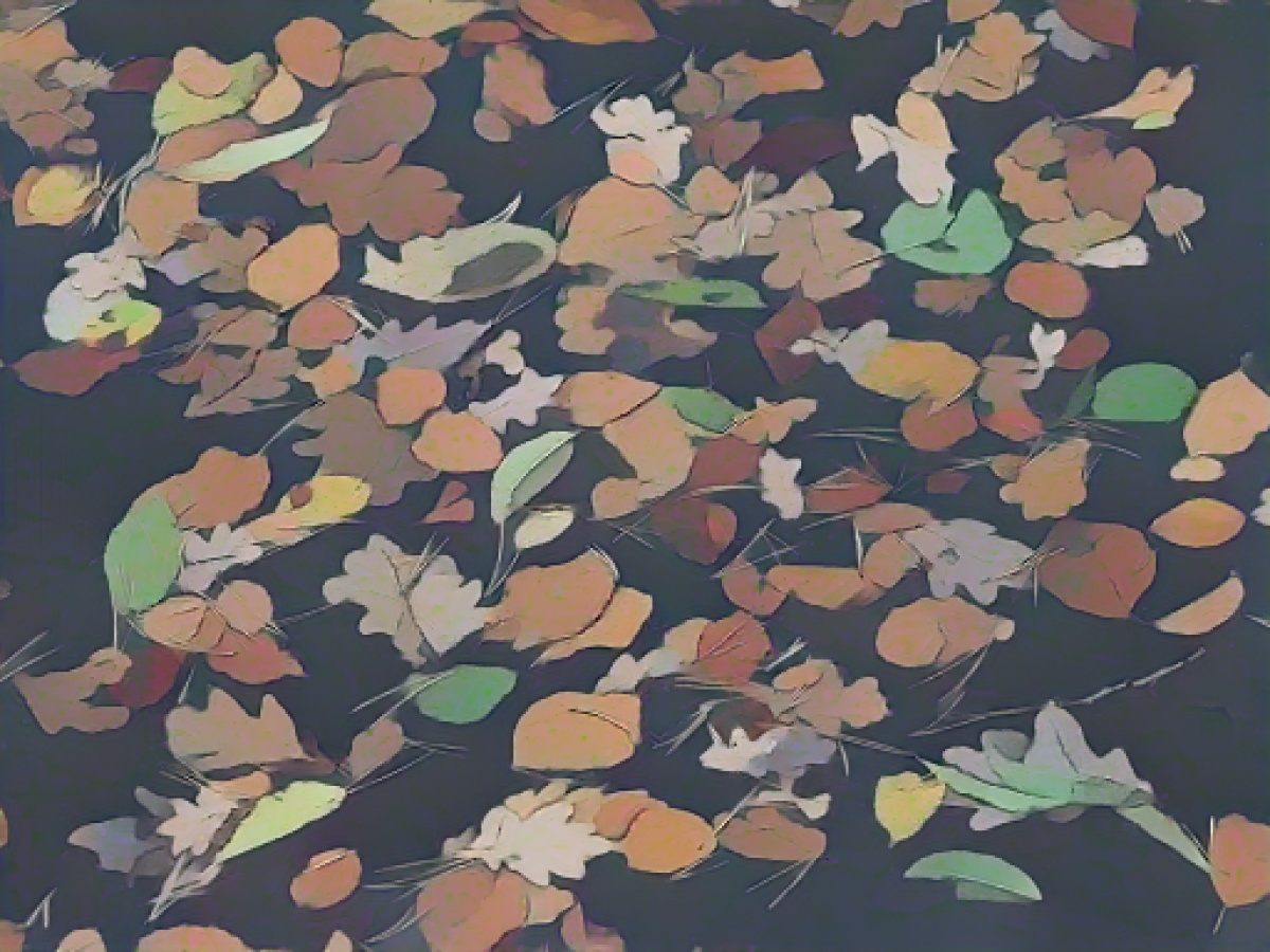 Mostly dry weather for the start of school: snow in sight again