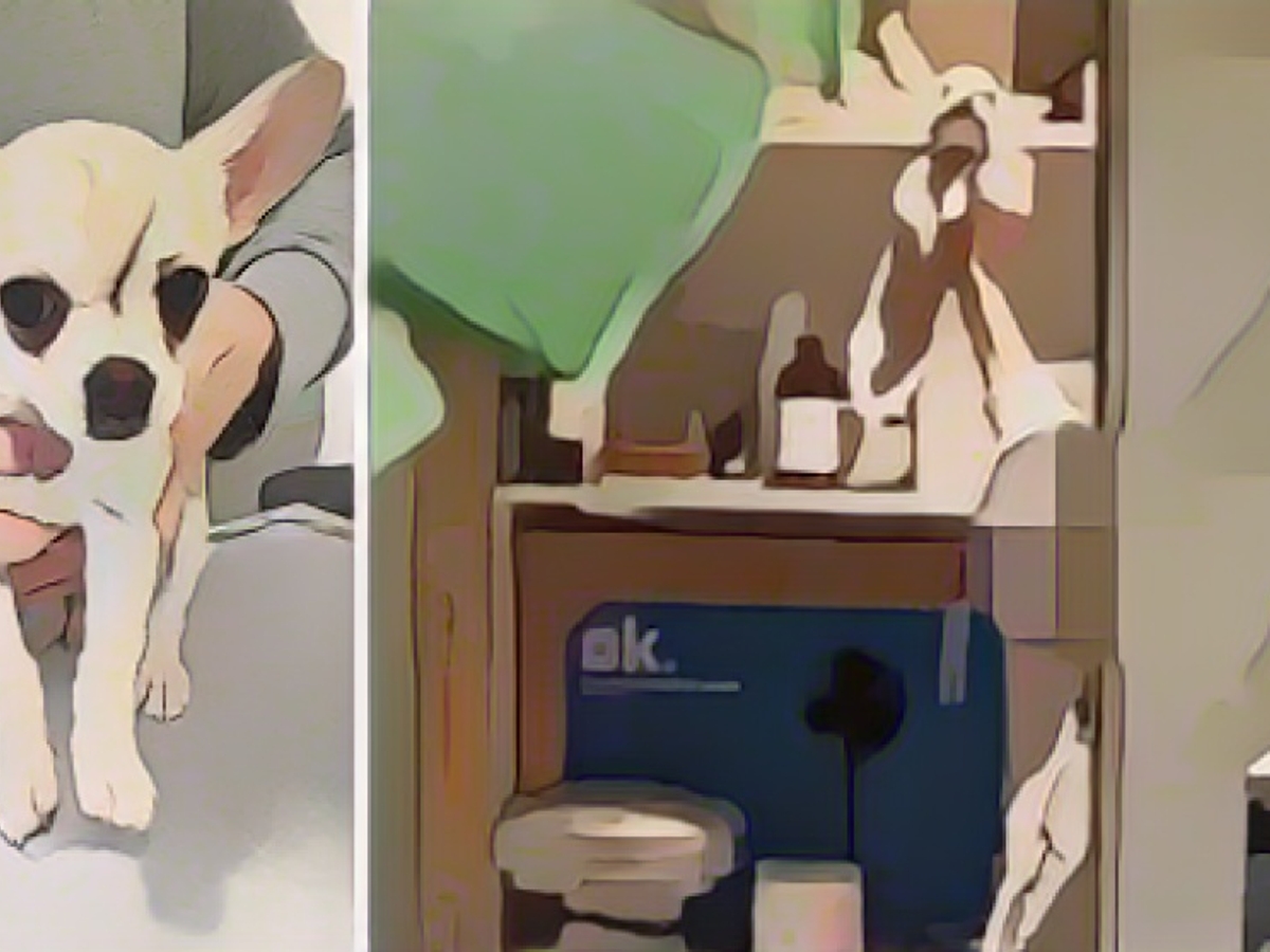 Brave witness films brutal animal abuser