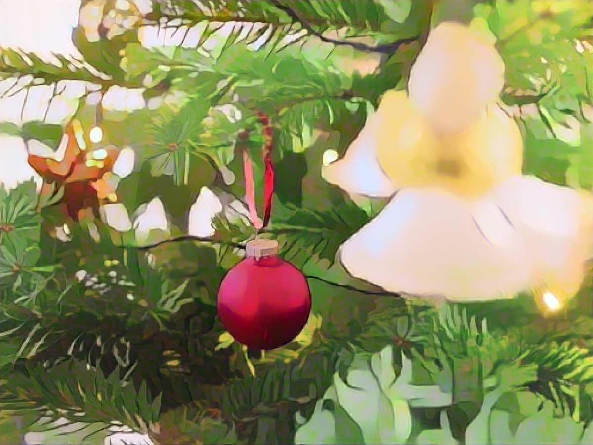 Christmas tree for Leipzig comes from Torgau