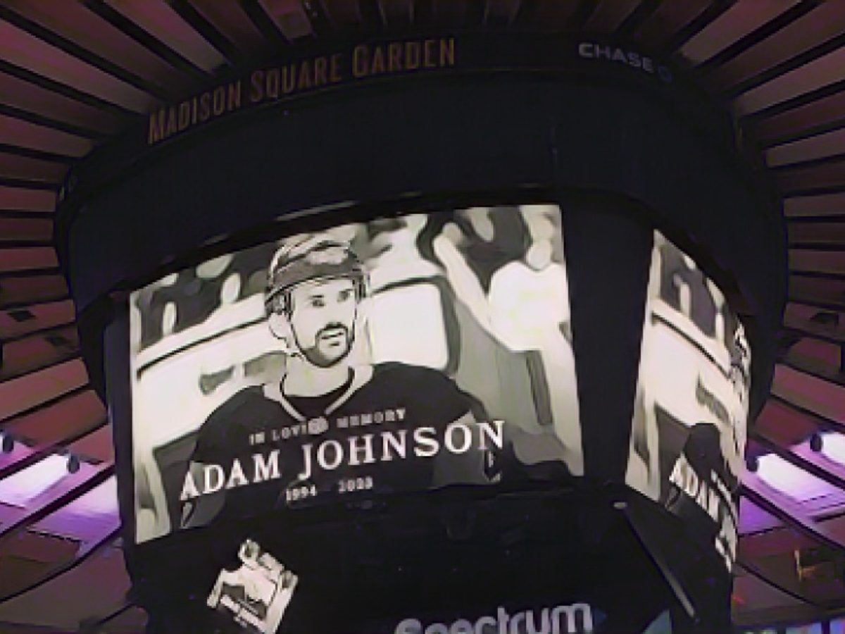 Aunt of dead ice hockey star mourns on TV