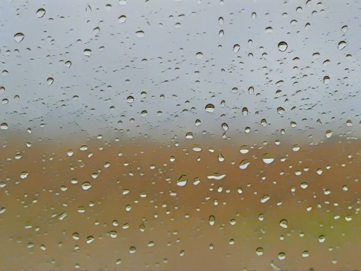 Hessian summer was warmer and wetter than average