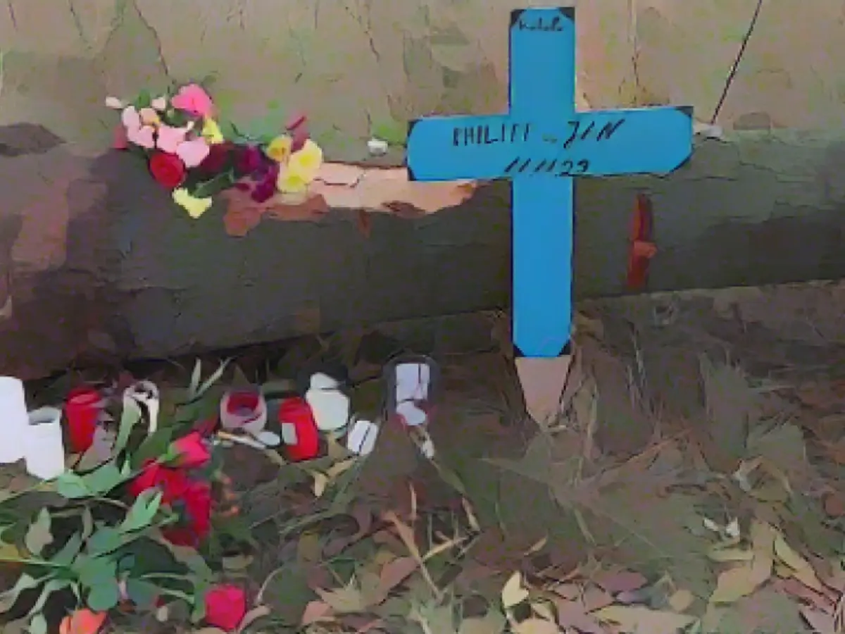 Police investigate allegations against female driver (15)