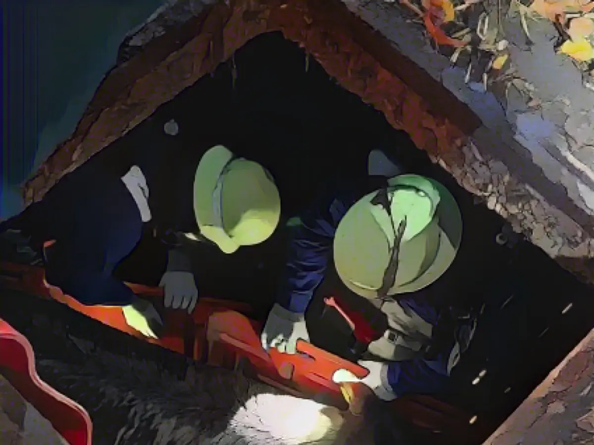 Sow breaks into slurry pit