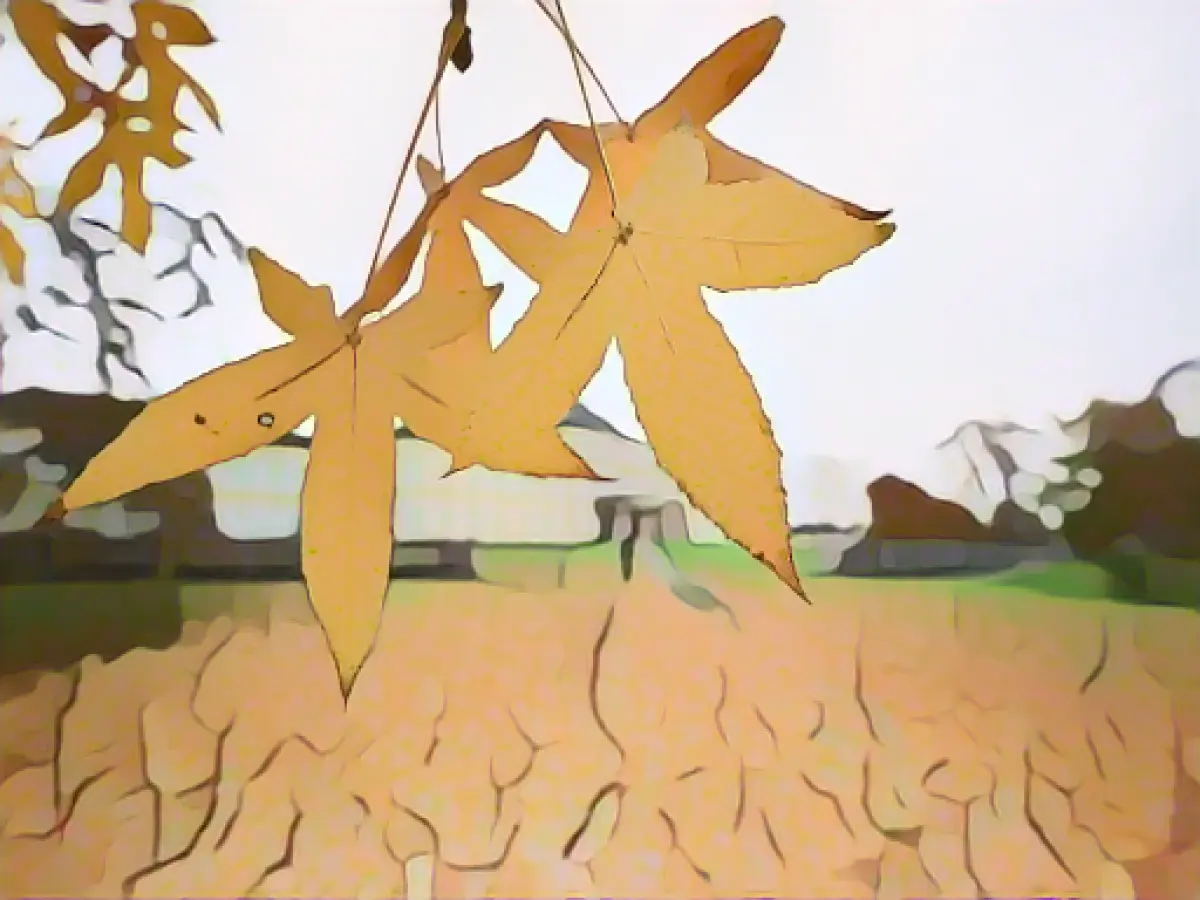 November brings more rain and lots of wind