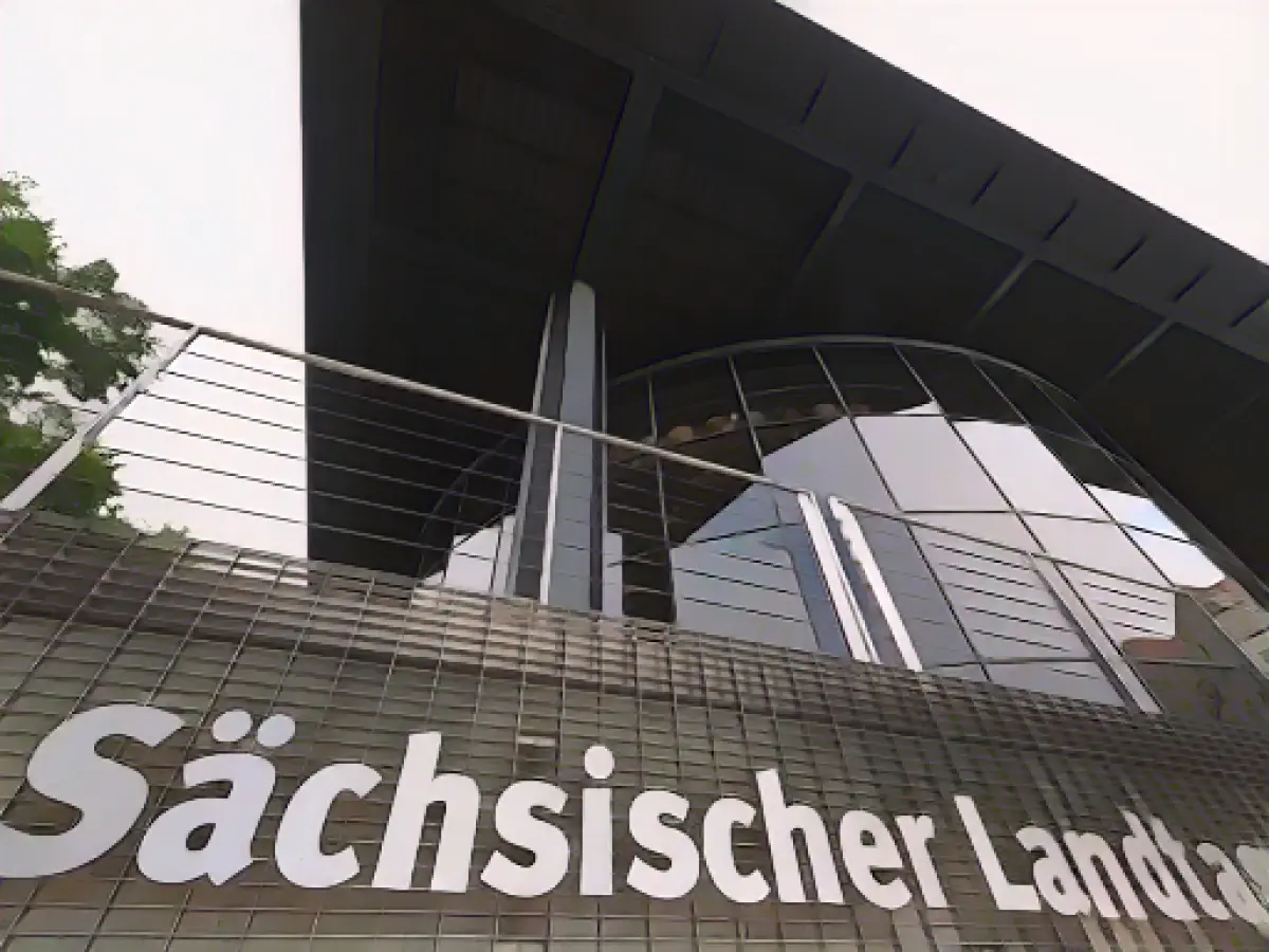 Animal shelters in Saxony receive more funding