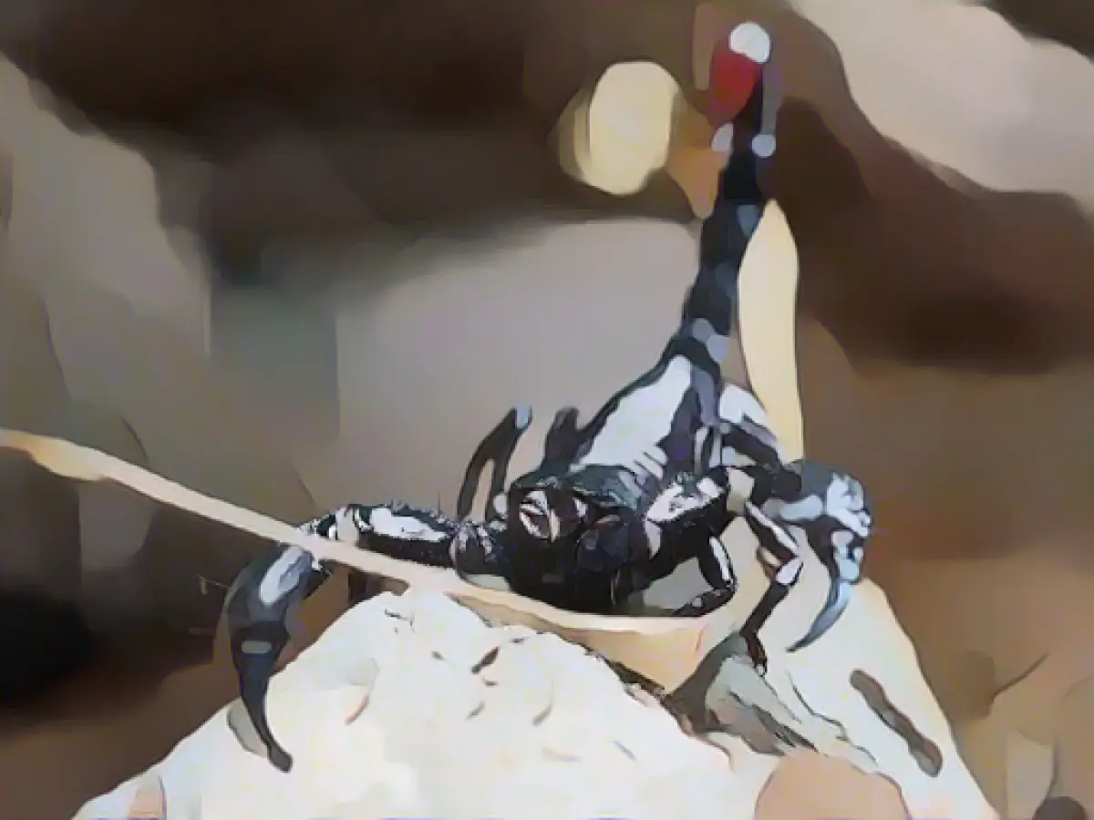 Man traps scorpion in living room