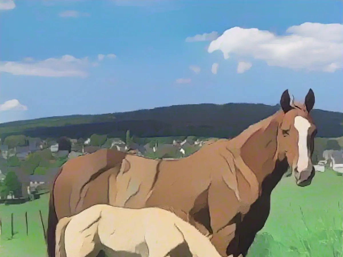 Horse torturer ties up mare with rubber rope